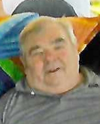 Harold "Jim" Marinich | News, Sports, Jobs - Vimarsana News